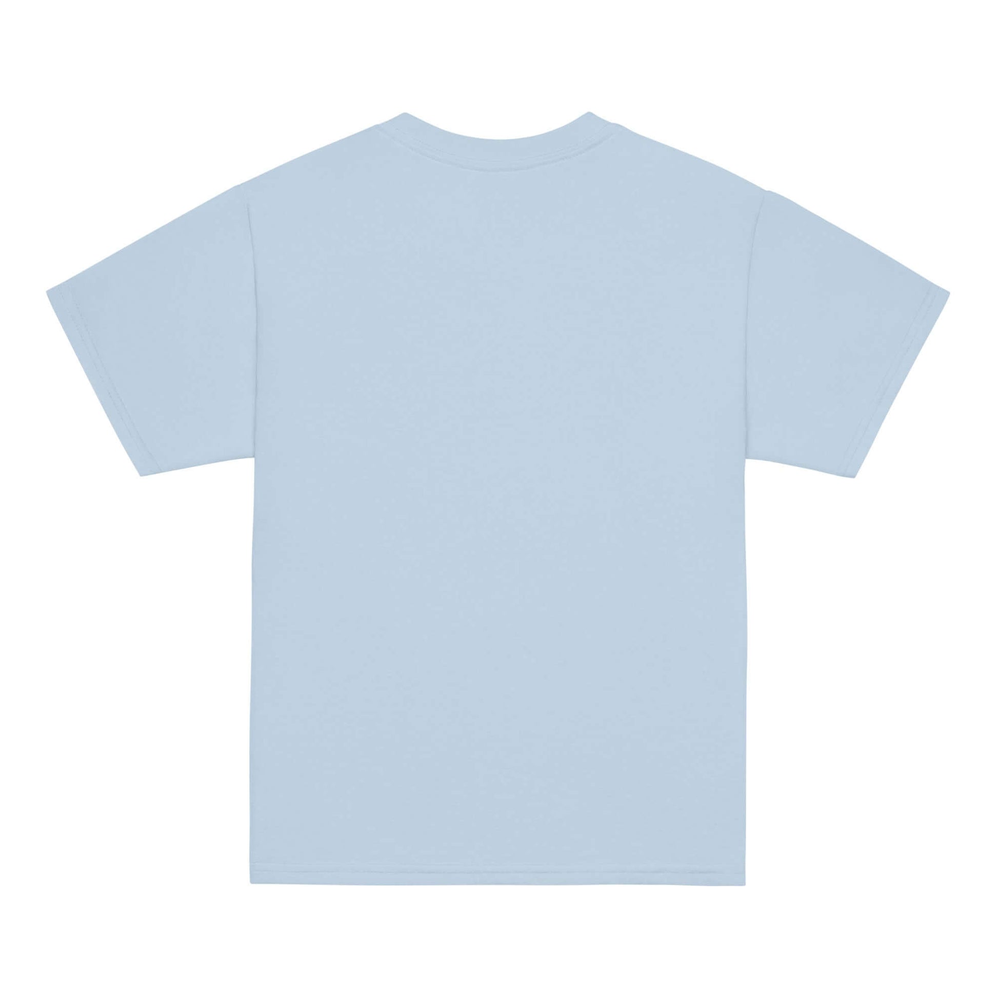 Back view of the Youth classic tee in light blue color, made from 100% cotton and perfect for kids.
