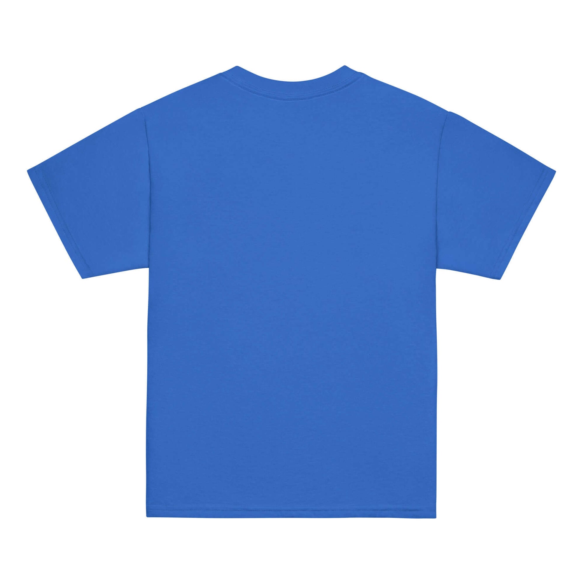 Youth classic tee in vibrant blue color, showcasing the back design and classic fit for kids.